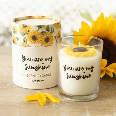 Candles, Holders, Diffusers & Oil Burners