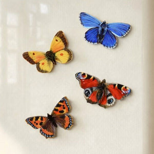 Butterfly Fridge Magnets