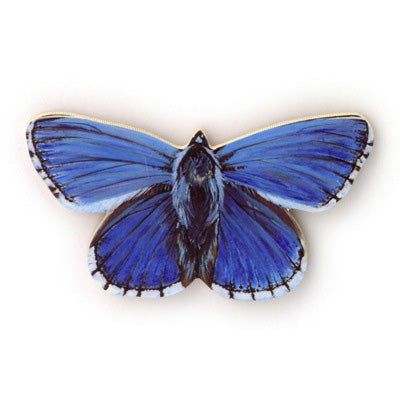 Butterfly Fridge Magnets