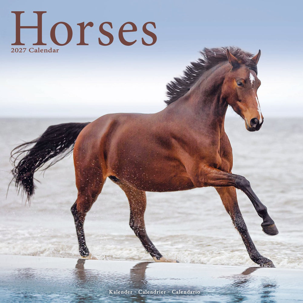 Horses 12" Calendar 2027