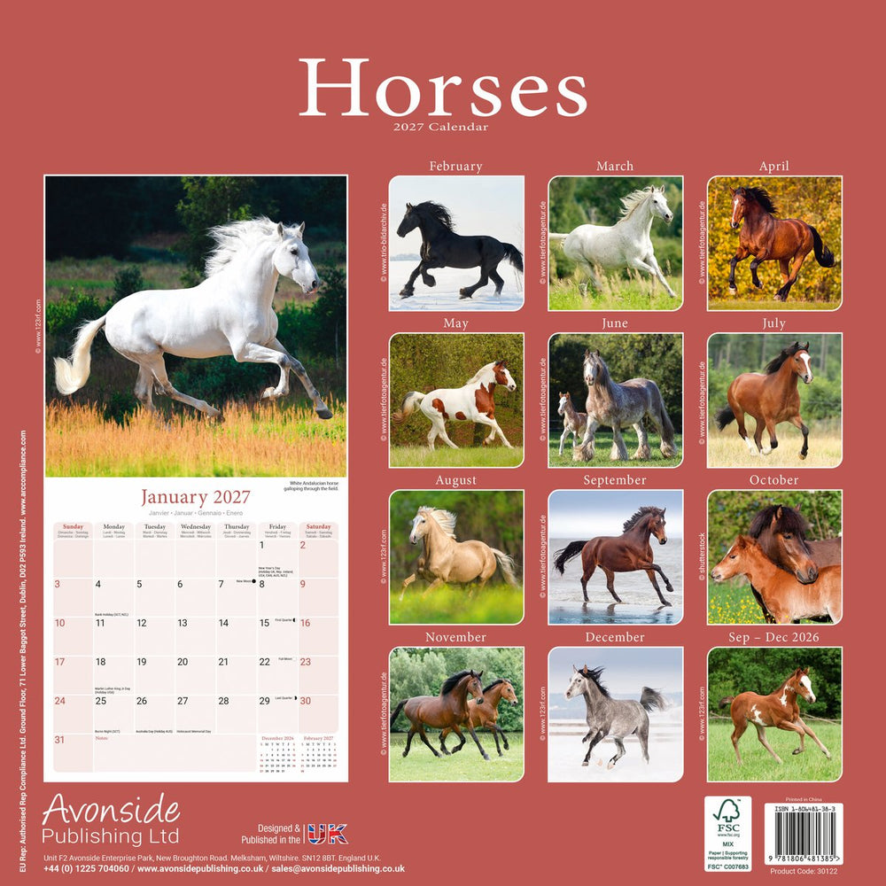 Horses 12" Calendar 2027