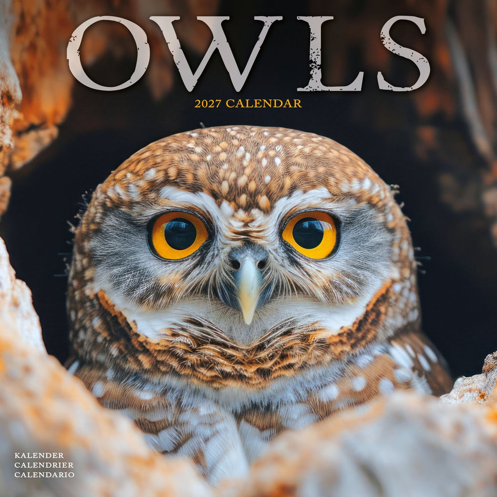 Owls Calendar 2027