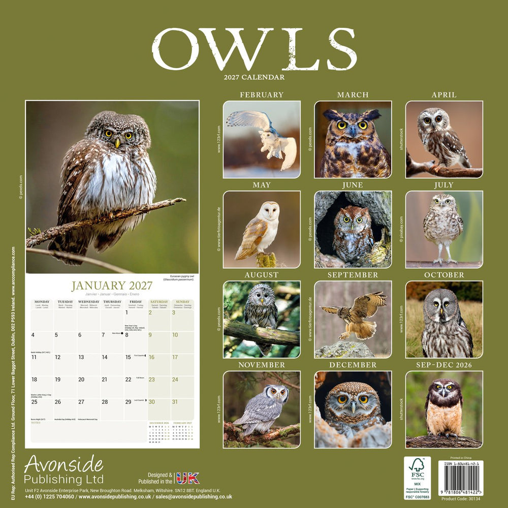 Owls Calendar 2027