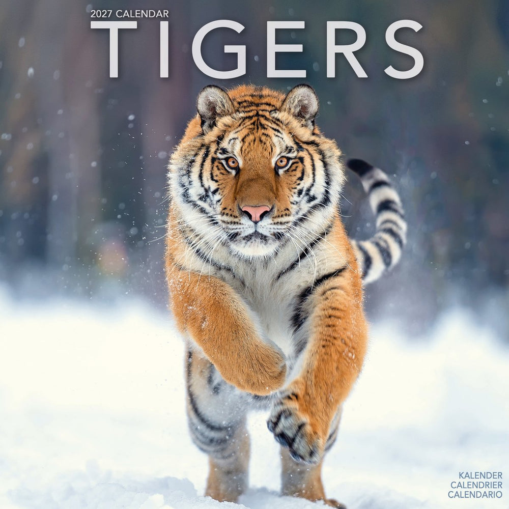 Tigers Calendar 2027