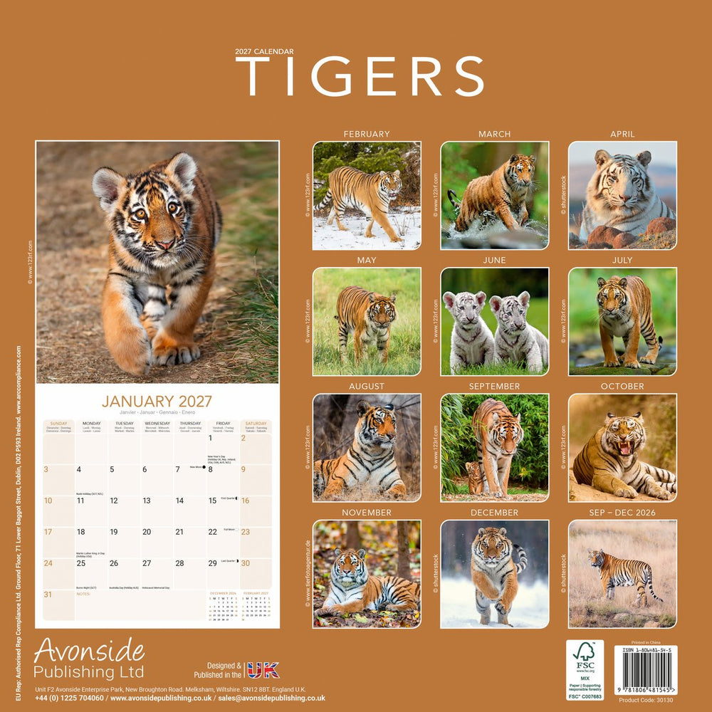 Tigers Calendar 2027