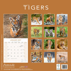Tigers Calendar 2027
