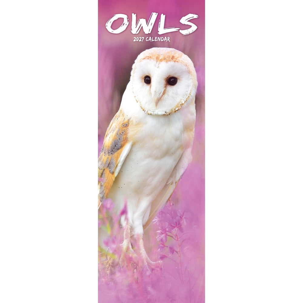 Owls Slimline Calendar 2027