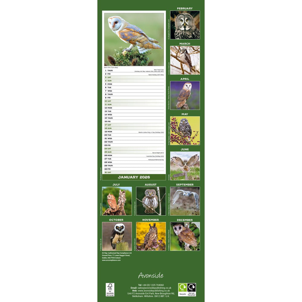 Owls Slimline Calendar 2027