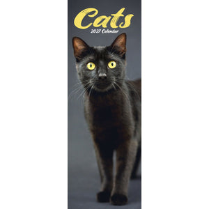 Cats Slimline Calendar 2027