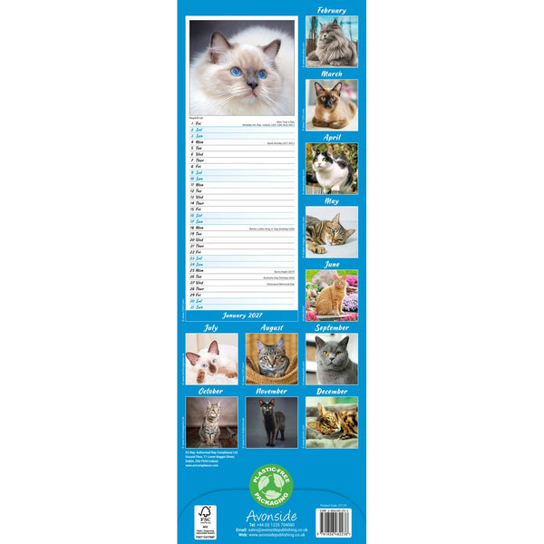 Cats Slimline Calendar 2027