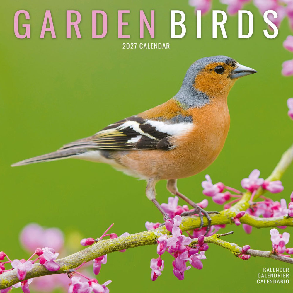 Garden Birds 12'' Calendar 2027
