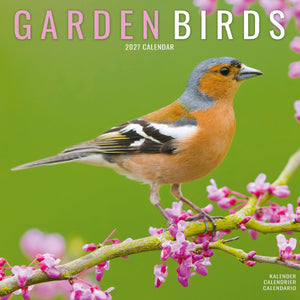 Garden Birds 12'' Calendar 2027
