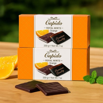 Chocolate Coated Orange Thins Twinpack