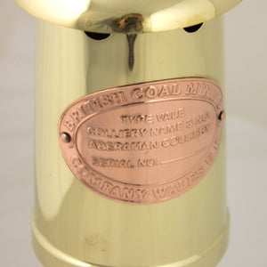 The Miner's Safety Lamp