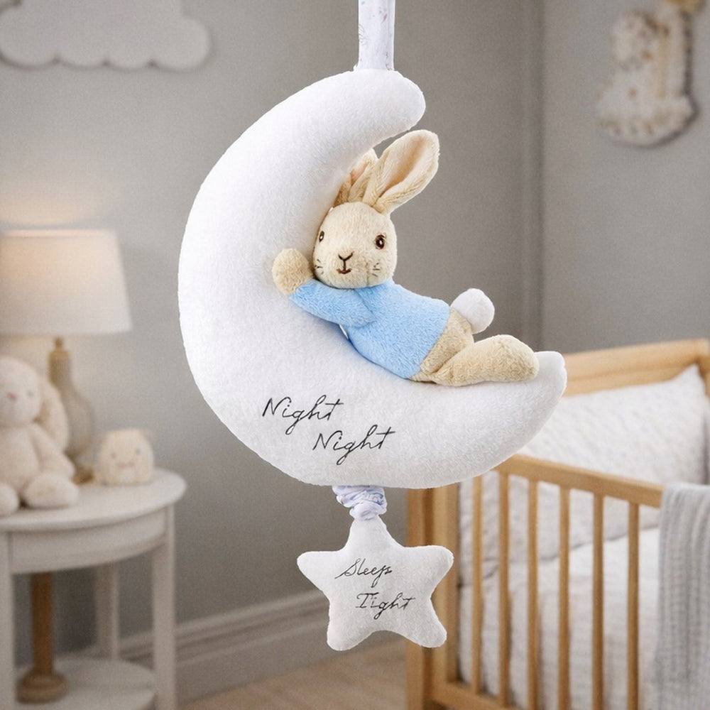 Musical Peter Rabbit 'Night Night' Toy