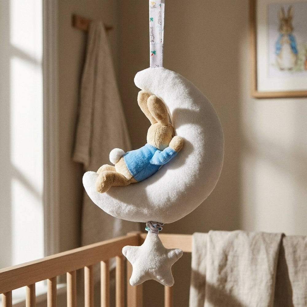 Musical Peter Rabbit 'Night Night' Toy