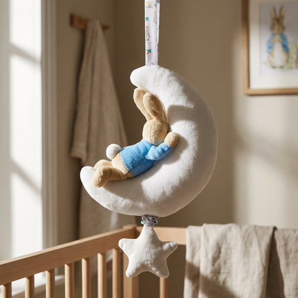 Musical Peter Rabbit 'Night Night' Toy