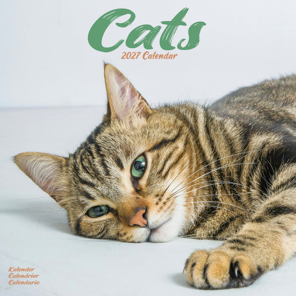 Cats 12" Calendar 2027