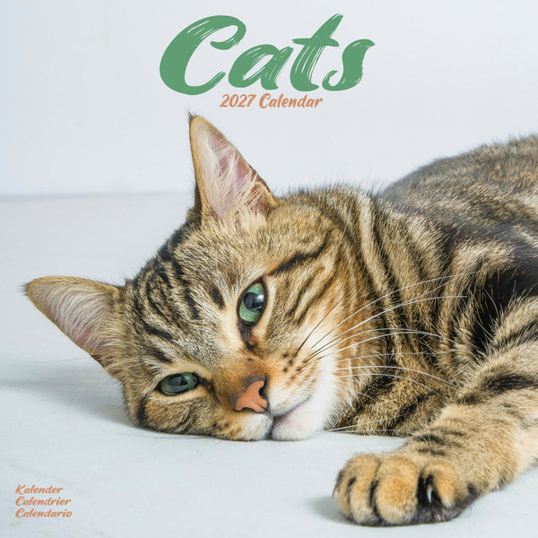 Cats 12" Calendar 2027