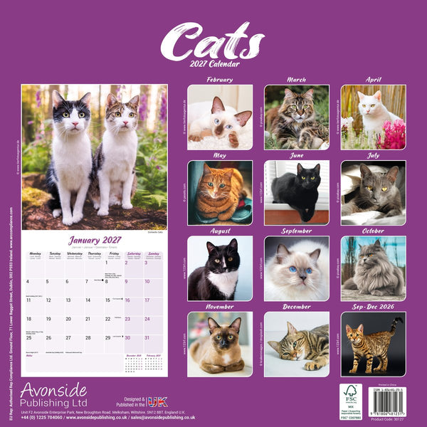 Cats 12" Calendar 2027