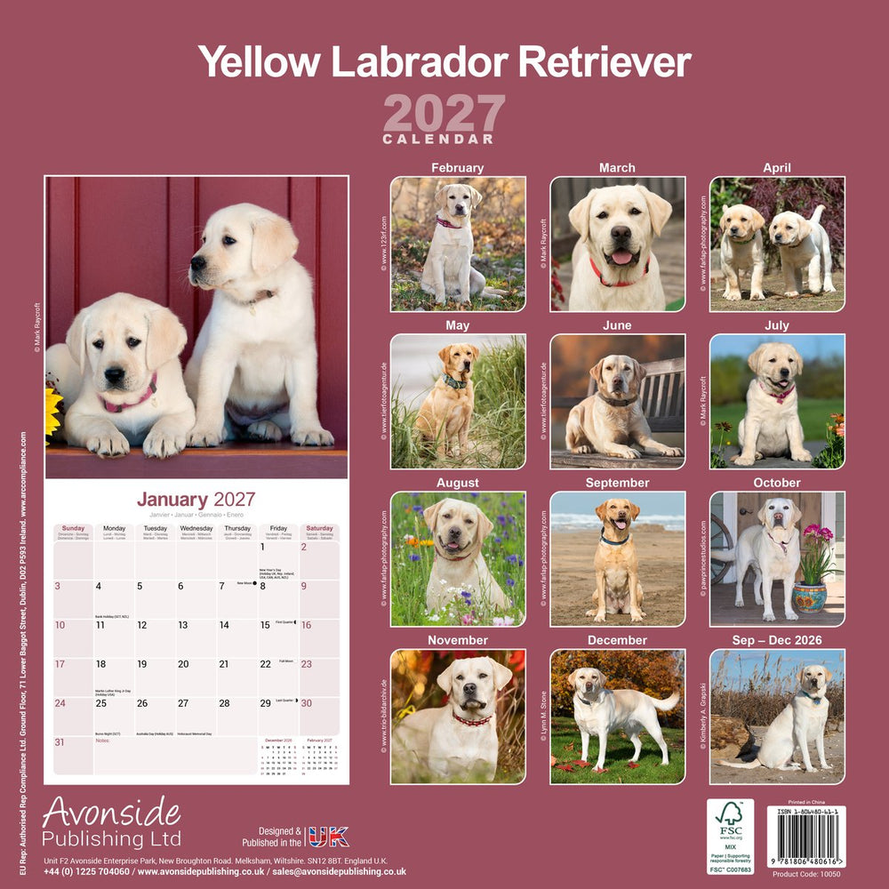 Labrador Retrievers 2027 Calendar
