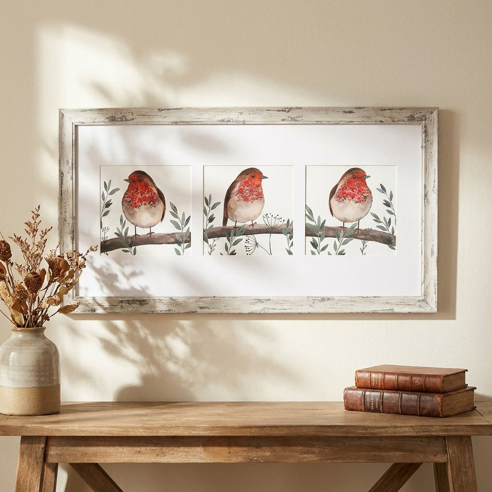 Robin Trio Framed Print
