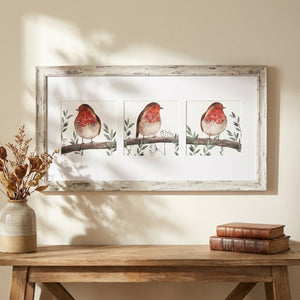 Robin Trio Framed Print