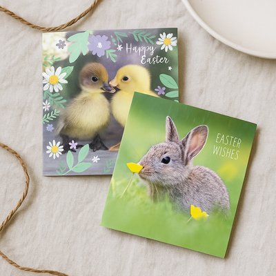 Easter Bunny & Duckling Cards