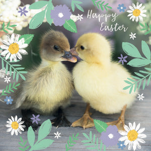 Easter Bunny & Duckling Cards