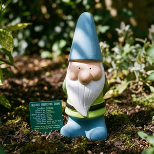 Weather Forecasting Gnome