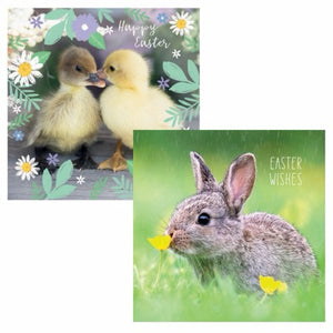 Easter Bunny & Duckling Saver Set