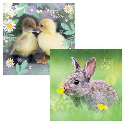 Easter Bunny & Duckling Saver Set