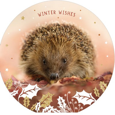 Round Winter Creature Cards