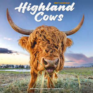 Highland Cows 2027
