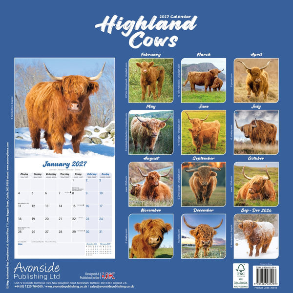 Highland Cows 2027