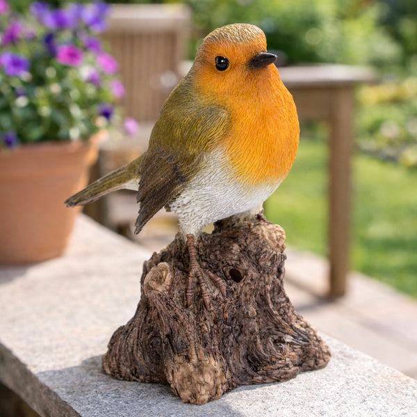 Singing Robin on Stump