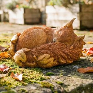 Sleeping Baby Red Squirrel