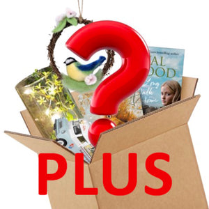 Plus Mystery Box