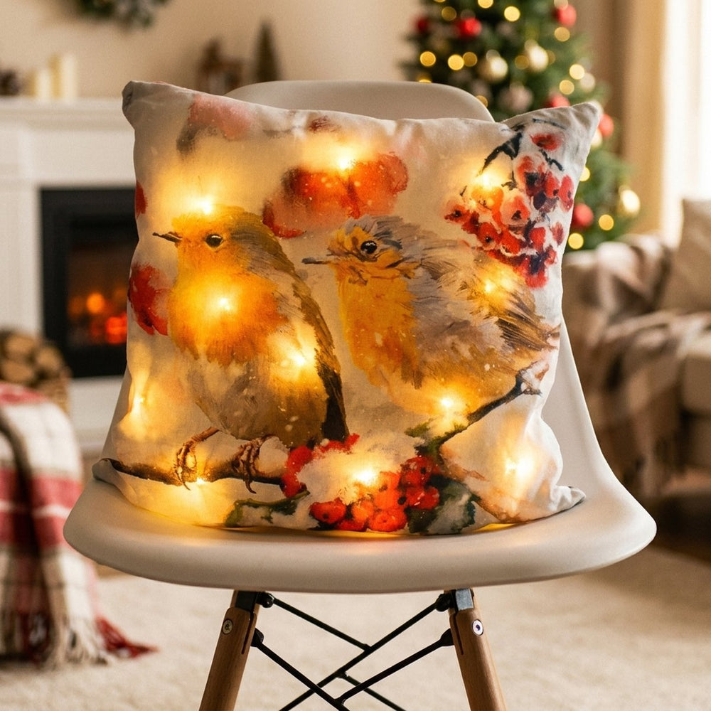 Robin LED Cushion