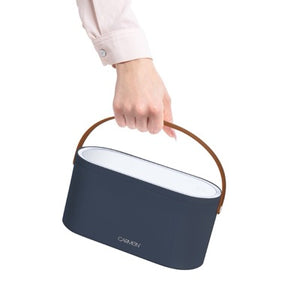 Cosmetic Storage Case with LED light