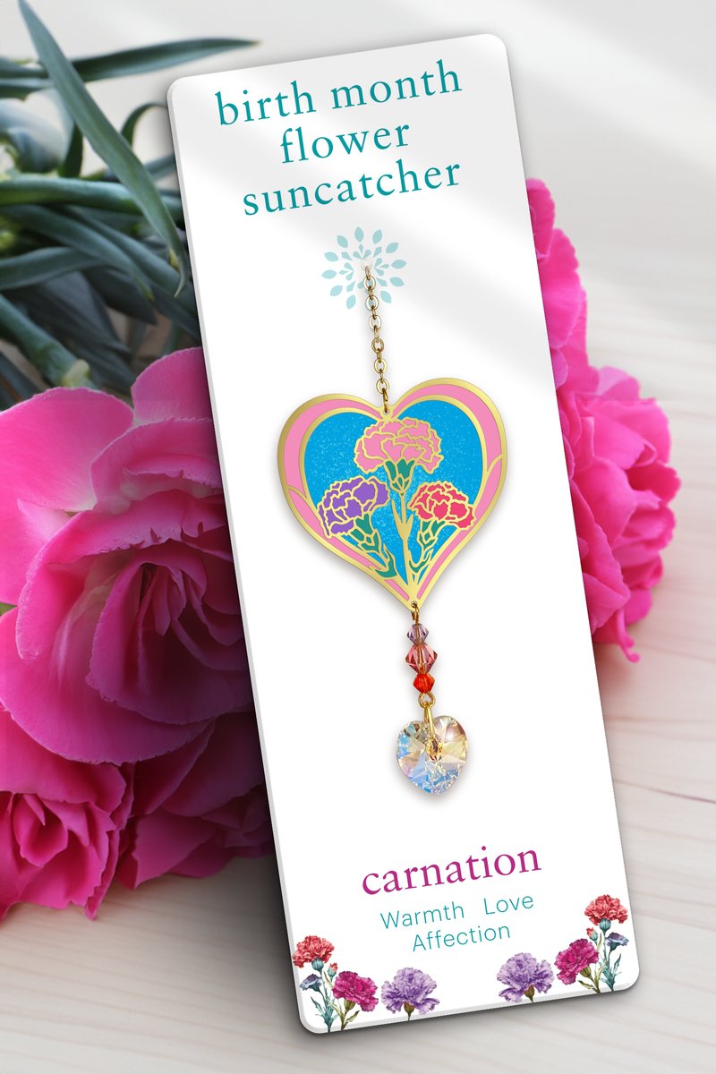 January Birth Month Flower Carnation