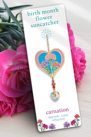 January Birth Month Flower Carnation