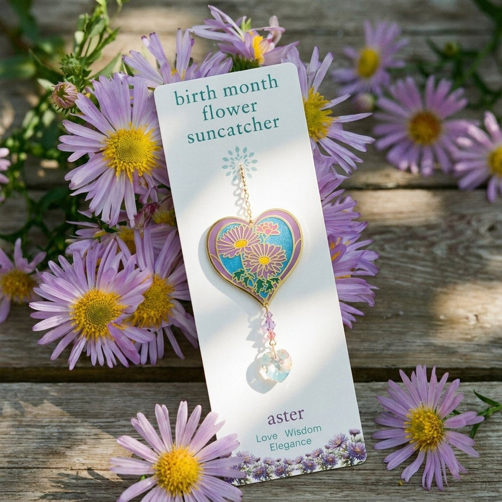 September Birth Month Flower Aster