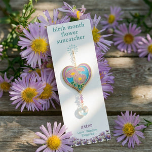September Birth Month Flower Aster