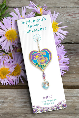 September Birth Month Flower Aster