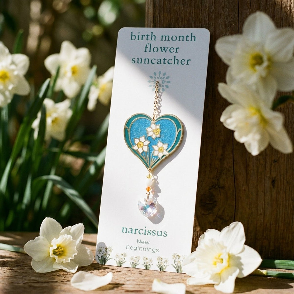 December Birth Month Flower Narcissus