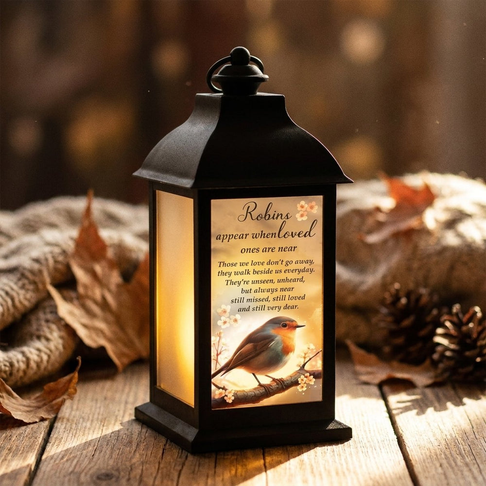 Robin Lantern