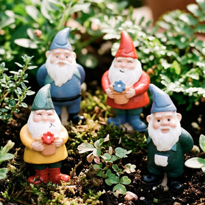 Gnome Plant Pot Pals