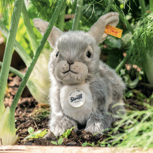 Dormili Rabbit by Steiff