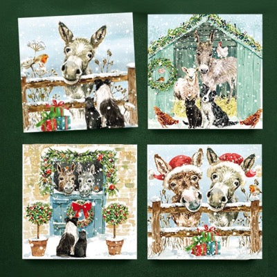 Donkeys & Friends Cards